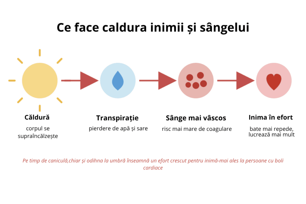 Ce face caldura inimii și sângelui